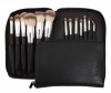 Professional Brush with Cosmetics Bag