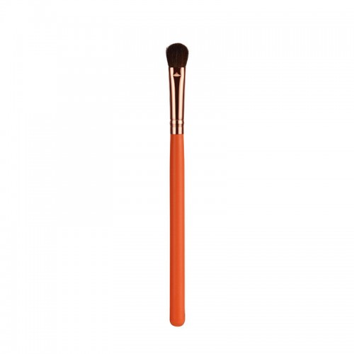 Professional Fan Brush Makeup Brush Kit