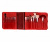 Professional Makeup Brush 22PCS with Cosmetics Bag