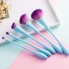 Vegan 5PCS Cosmetic Brush Set Makeup Brush Cosmetics