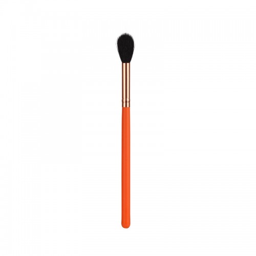 Professional Fan Brush Makeup Brush Kit