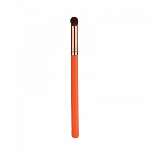 Professional Fan Brush Makeup Brush Kit