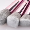 Hot Sale 10PCS Makeup Brush Set with Plastic Handle