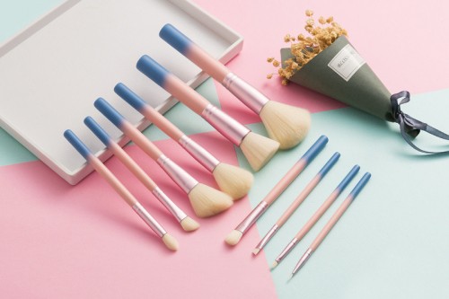 10PCS Travel Brush Set Pink Blue Wood Handle Synthetic Hair