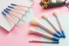 10PCS Travel Brush Set Pink Blue Wood Handle Synthetic Hair